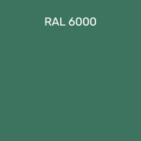 RAL 6000