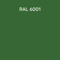 RAL 6001