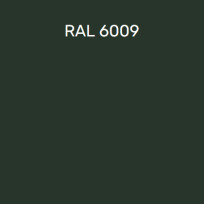 RAL 6009