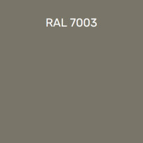 RAL 7003