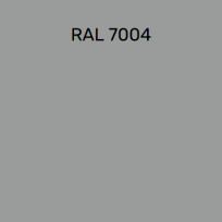RAL 7004